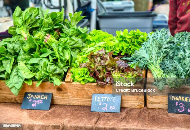 Lettuce Spigariello And Erba Stella Farmers Market Greens Stock Photo - Download Image Now