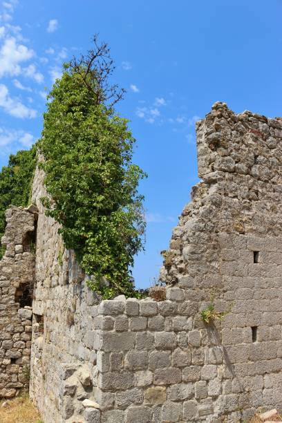 istock Ruins in Stari Bar or old Bar in Montenegro. 1156486096