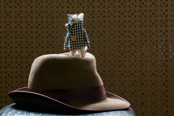 vintage hat cat wooden background