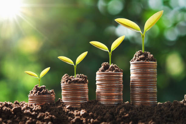 istock young plant growing step on coins. concept finance and accounting 1156491981