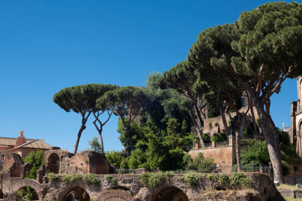 istock Forum of Caesar or Foro di Cesare in Rome 1156494140