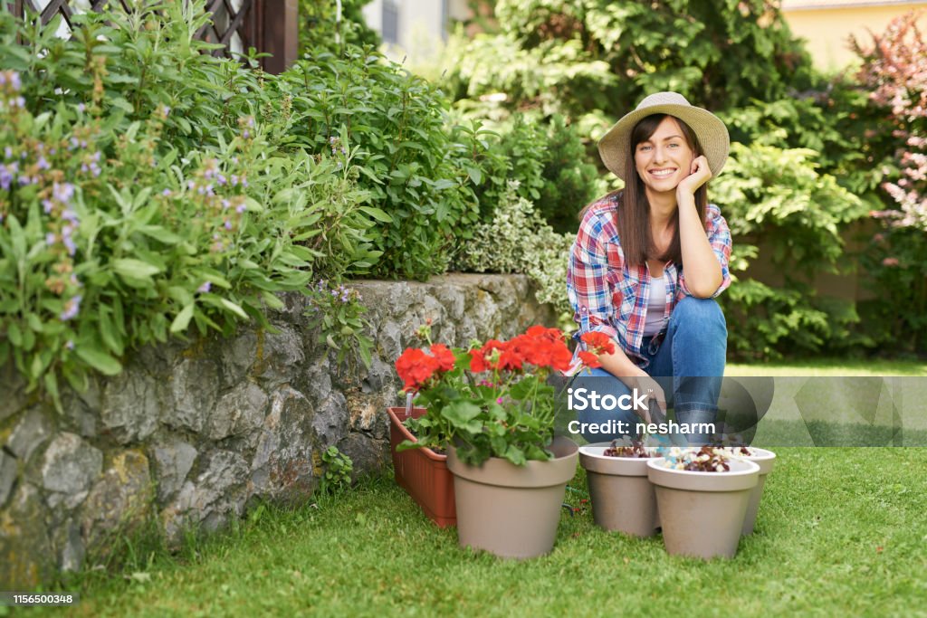 Woman taking care of flowers. Charming brunette in workon clothes and with hat on head crouching and holding gardening tool. In front of her are pots with begonia and pelargonia. One Woman Only Stock Photo