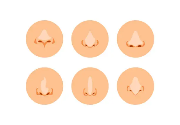 Vector illustration of Cartoon noses vector