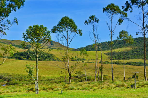 istock countryside Landscapes 1156503359