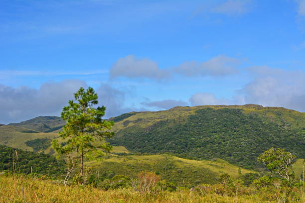istock countryside Landscapes 1156503747