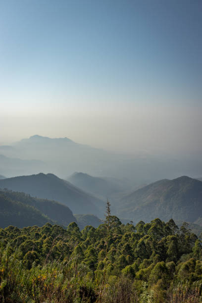 Mountain range in mist with amazing blue sky Mountain range in mist with amazing blue sky Image taken at Kodaikanal tamilnadu India from top of the hill. Image is showing the beautiful nature. kodaikanal photos stock pictures, royalty-free photos & images