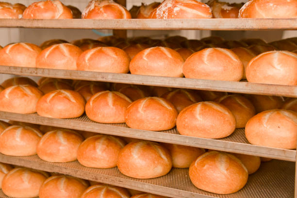istock Freshly baked Kaiser rolls on a cooling rack 1156506705