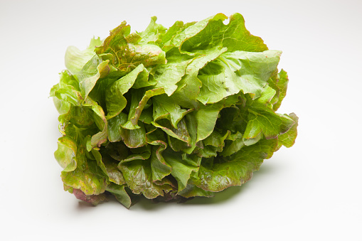 Lettuce is a vegetable food that is usually eaten raw, particularly in salads, accompanied by tomato, tuna, onion, olives, radishes, cucumber and many other ingredients. It has a lot of vitamin and very few calories.