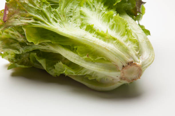 istock Fresh lettuce freshly brought from the garden 1156507005