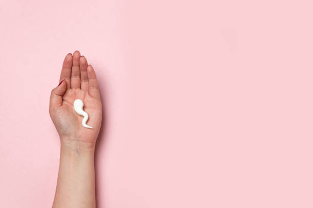 bentuk sperma di tangan wanita. konsep medis pembuahan - oocyte cryopreservation foto potret stok, foto, & gambar bebas royalti