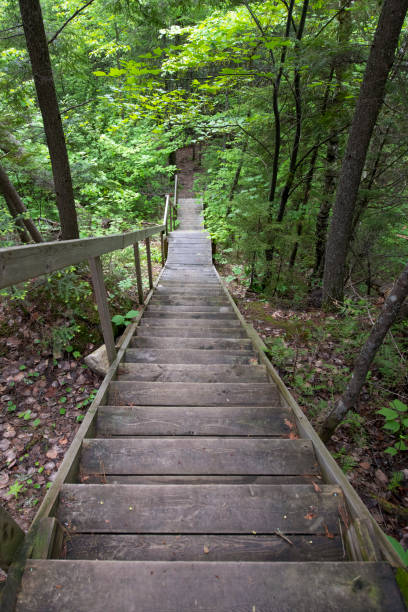 istock Wooden staircase 1156508377