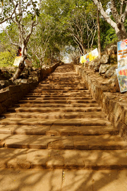 Steps leading to a pilgrimage site Steps leading to Mihintale pilgrimage site near Anuradhapura in Sri Lanka. mihintale stock pictures, royalty-free photos & images