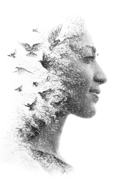 Paintography. Double Exposure portrait of an elegant woman's profile combined with hand drawn pencil drawing of a flock of birds flying into the sky, black and white Portrait photography blends with artwork creating a dreamy mood flock of birds photos stock pictures, royalty-free photos & images