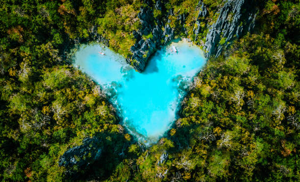 vue de dessus aérienne du coeur en forme de lagon turquoise à l'intérieur de l'île tropicale. concept de vacances d'été de voyage d'amour - archipel raja ampat photos et images de collection