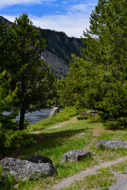 Beautiful Yellowstone River in Yellowstone National Park.