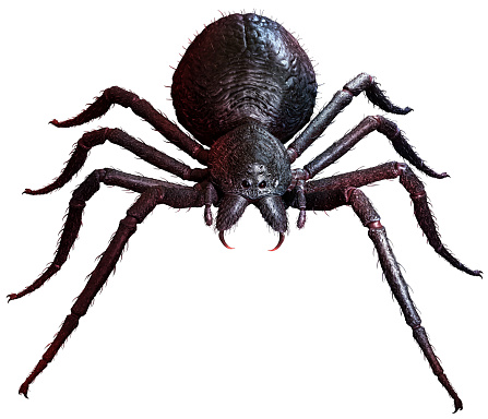 Giant fantasy Spider top view 3D illustration