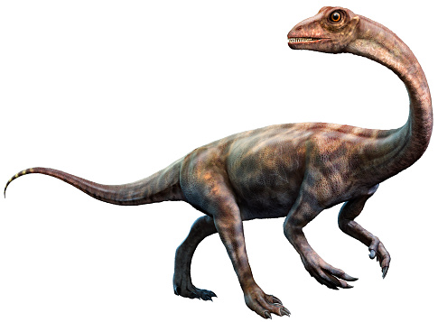 Anchisaurus dinosaur from the Jurassic era 3D illustration