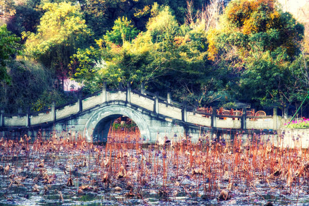 istock Culture Park, Chengdu, China 1156522389