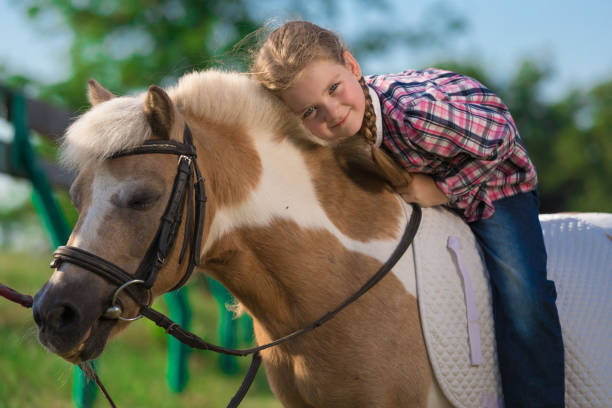 istock Pony. Landscape. Riding. Summer 1156522705