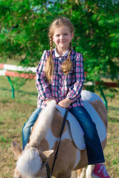 istock Pony. Landscape. Riding. Summer 1156522754