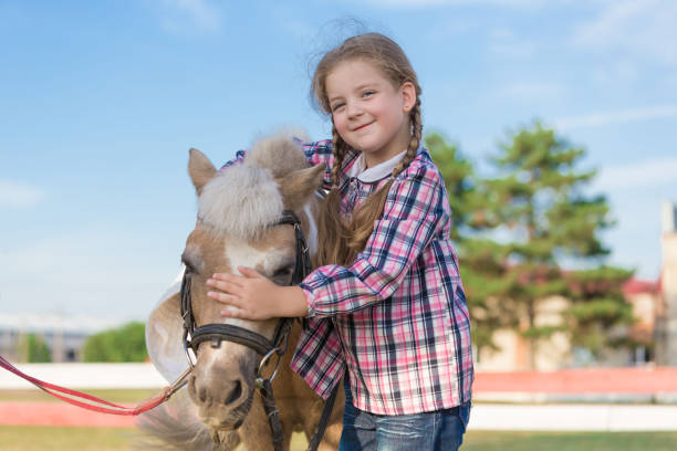 istock Pony. Landscape. Riding. Summer 1156523347