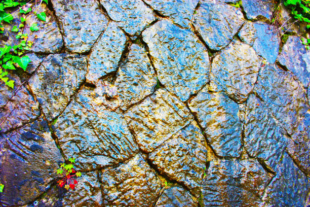 abstract texture background. marble, stone or dark stone wet look. jugla, forest or monument. wet structure, ancient construction