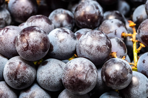 istock bunch of black ripe grapes on a white plate 1156524134
