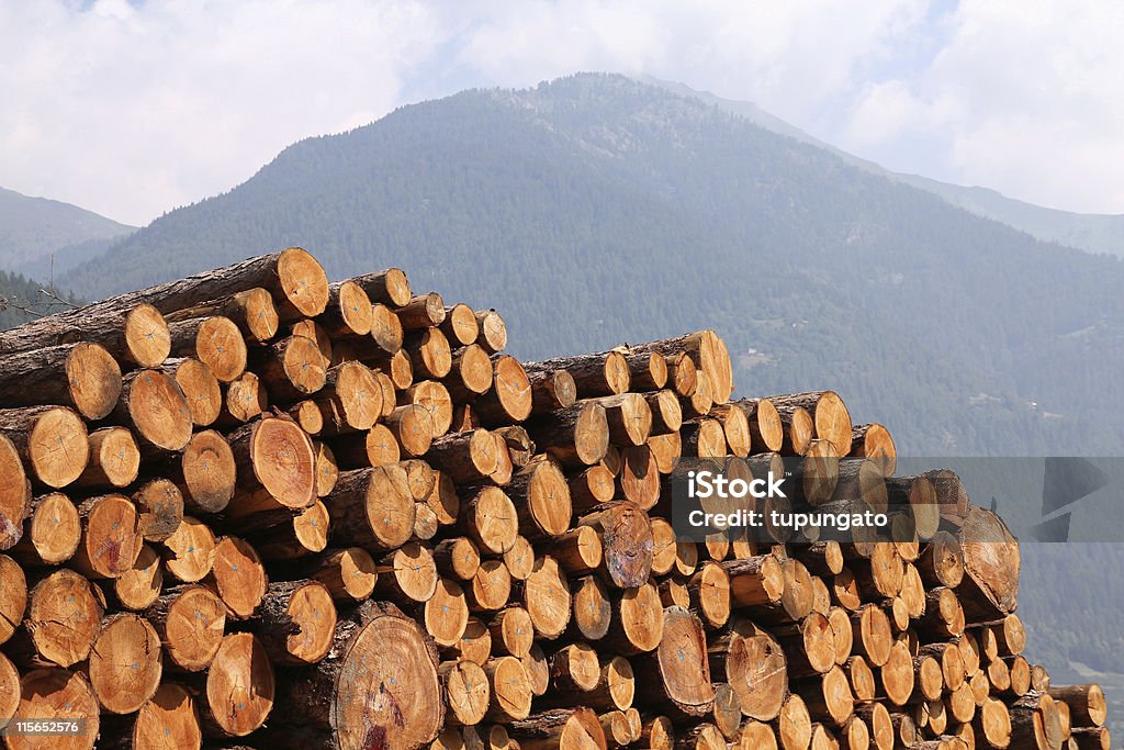 Lumber Lumber in the mountains of Italy. Stacked wood in Dolomites. Color Image Stock Photo