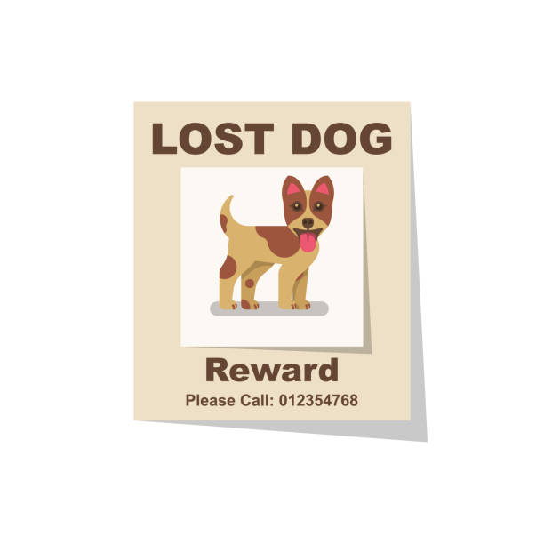 ilustraciones, imágenes clip art, dibujos animados e iconos de stock de perro perdido. recompensa por el hallazgo. cartel perdido - lost pet