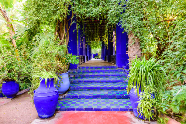 マジョレル ガーデン - morocco majorelle gardens formal garden islam ストックフォトと画像