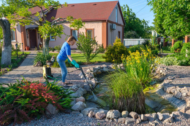 istock middle aged white woman cleans artificial pond with high-pressure wash from sludge. 1156534026