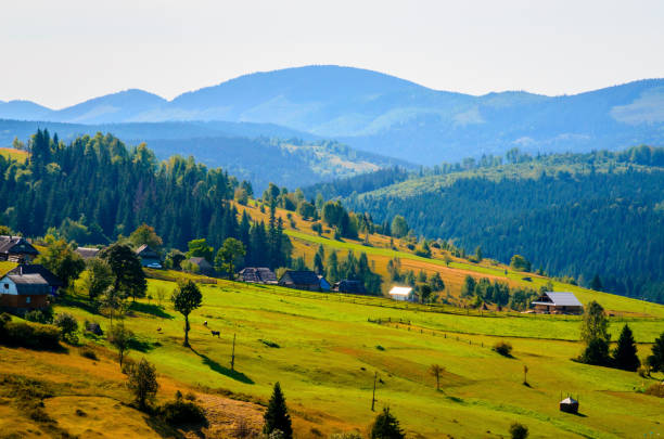 istock Beautiful summer landscape wint mountains 1156535155