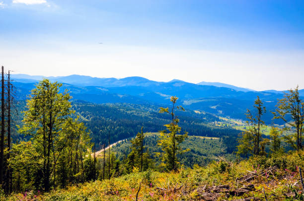 istock Beautiful summer landscape wint mountains 1156535156