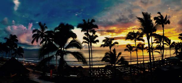 istock Beautiful sunset with palm trees 1156535379