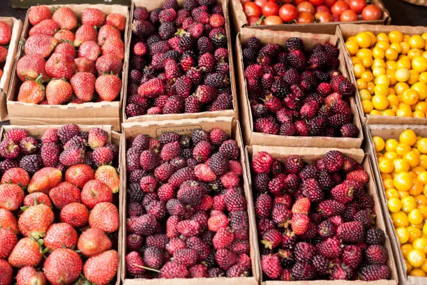 Photo of Stands of different kinds of berries displayed on the market