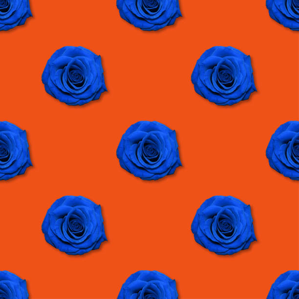 Rose flowers pattern top view, flat lay. Floral pattern on bright red background. Roses collage