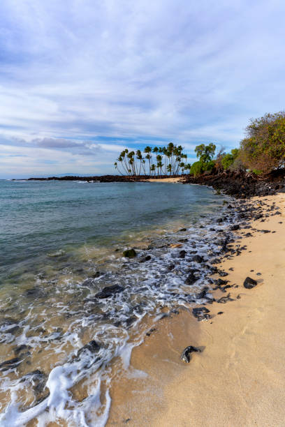 istock Rocky Mahaiula beach with palm trees Big Island Hawaii 1156539079