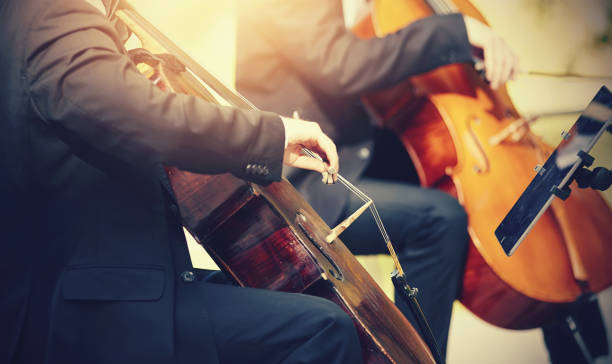 istock Performance by the musician with the cello. 1156550124