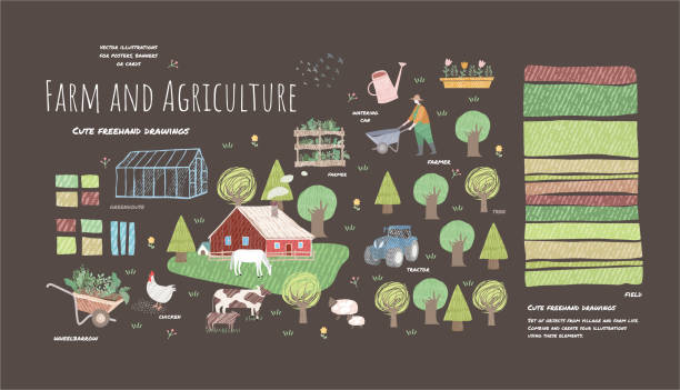 ilustrações, clipart, desenhos animados e ícones de fazenda e agricultura. vector ilustrações bonitos da vida e dos objetos da vila para um poster, uma bandeira ou um cartão, desenhos do freehand dos povos, animais, árvores, traсtor e casa para o fundo e o teste padrão - greenhouse house built structure green