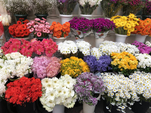 istock Florist shop 1156553057