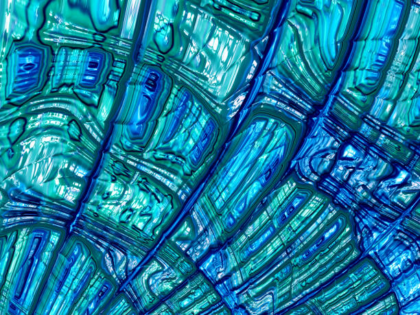 Blue shattered glass reflecting the surrounding environment - forest trees and a house roof, creating a fractured, abstract, and slightly eerie view of nature and urban elements
