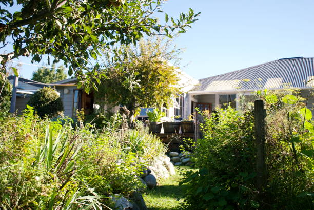 istock New Zealand Villa Home Exterior 1156556873