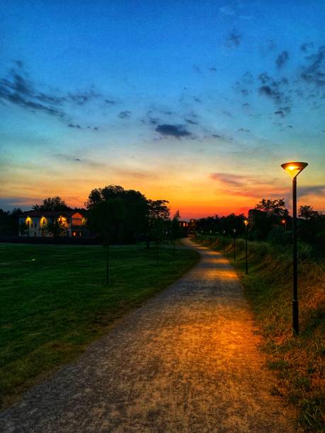 istock Country Road at sunset 1156561665