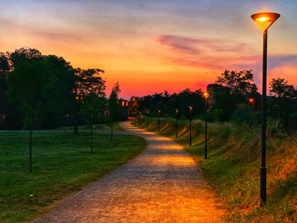 istock Country Road at sunset 1156561696