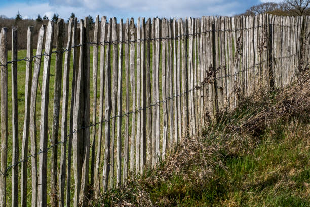 istock Old fashioned rustic wooden fence 1156562071
