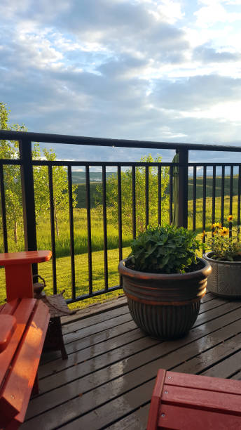 istock Natural Summer Rain For Watering The Patio Plants 1156563686