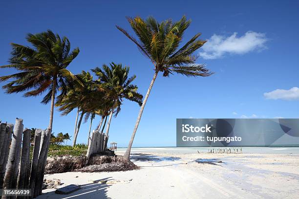 Cuba Stock Photo - Download Image Now - Beach, Blue, Caribbean