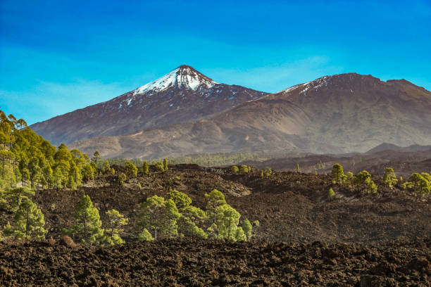 istock Mountain Teide with white snow spots, partly covered by the clouds. Pine trees on the boundless impassable lava fielgs. Bright blue sky. Teide National Park, Tenerife, Canary Islands, Spain 1156571601
