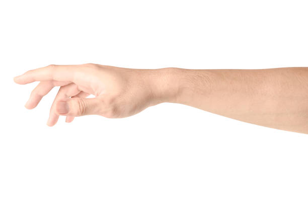 istock Hand open and ready to help or receive. Gesture isolated on white background with clipping path. 1156588761