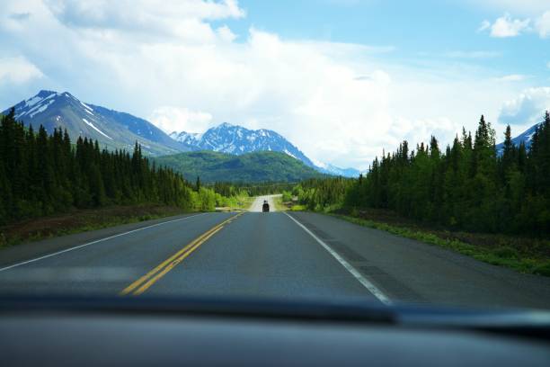 istock Looking out the car window to view the Alaskan scenery 1156592659